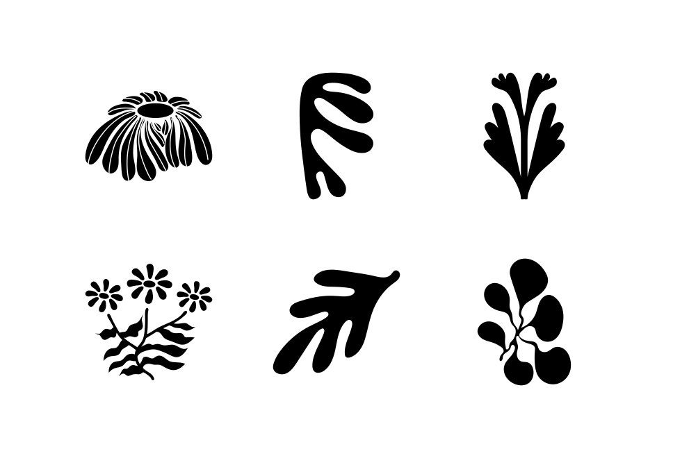 Botanical and Flower Vector Set Large Set Preview
