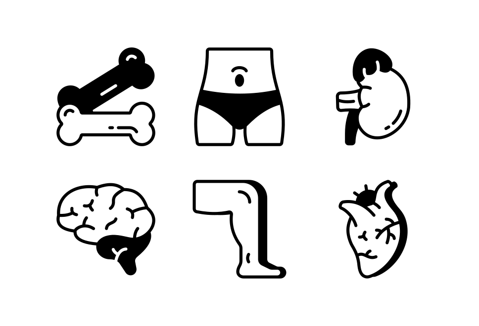 Body Anatomy Large Set Preview