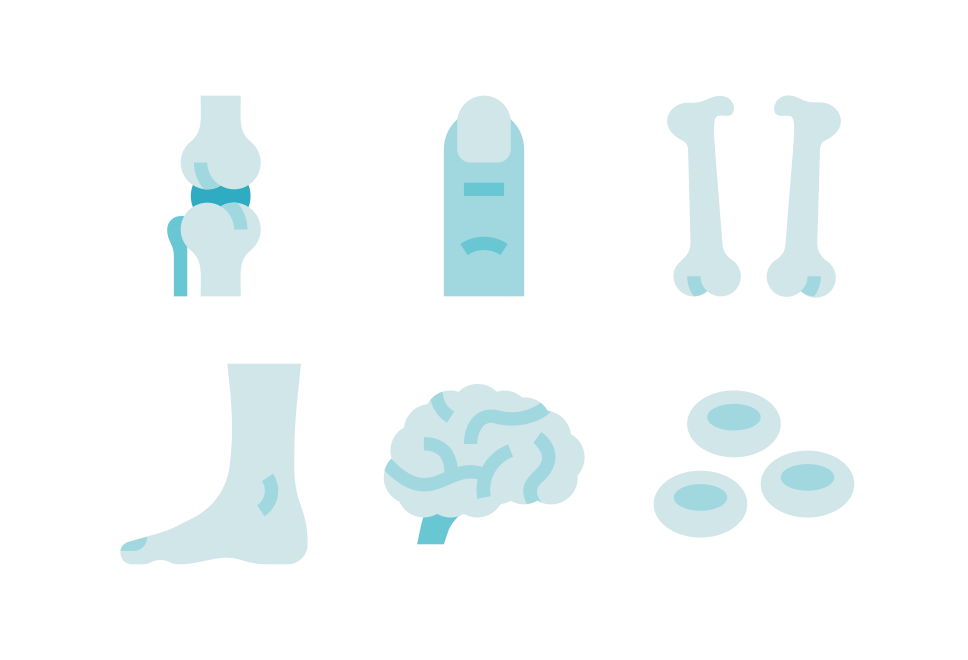 Organ Anatomy Large Set Preview