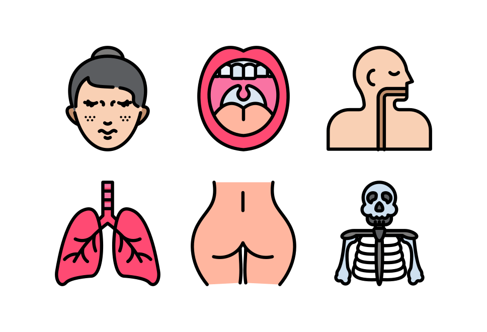 Human body Large Set Preview