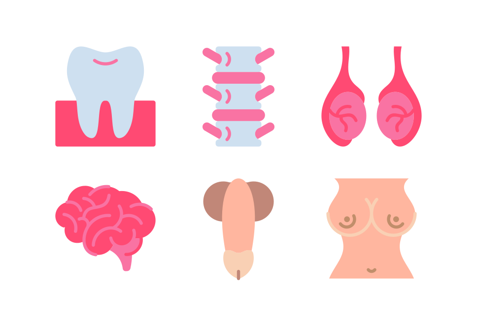 Human body Large Set Preview