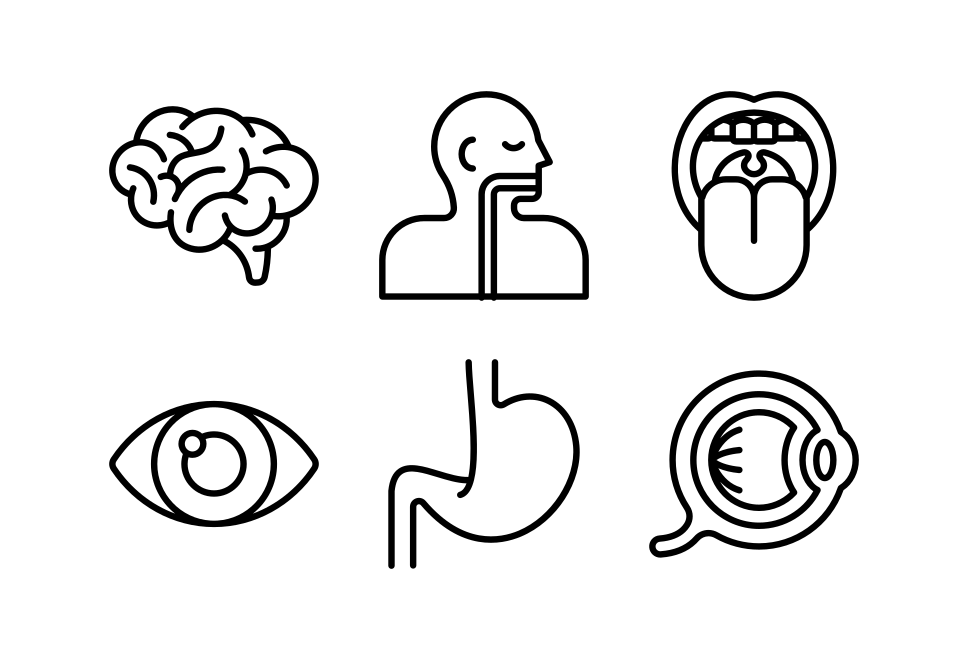 Human body Large Set Preview