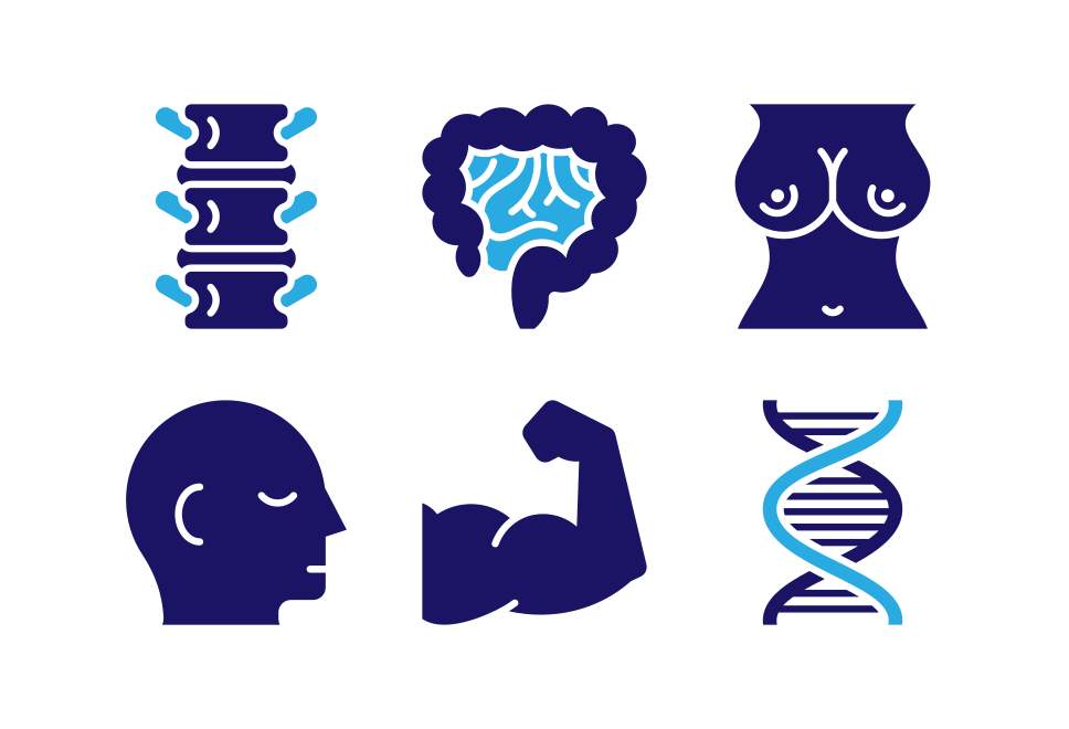 Human body Large Set Preview