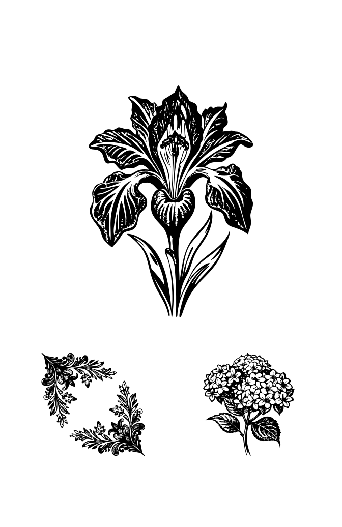 Vintage Floral Illustration Set Large Set Preview